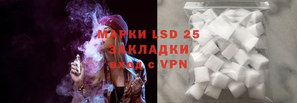 ПСИЛОЦИБИНОВЫЕ ГРИБЫ Елабуга