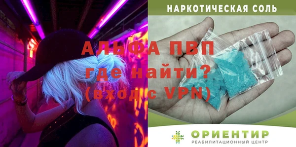 ПСИЛОЦИБИНОВЫЕ ГРИБЫ Елабуга