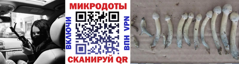 Купить  Шиханы  Псилоцибиновые грибы мухоморы 