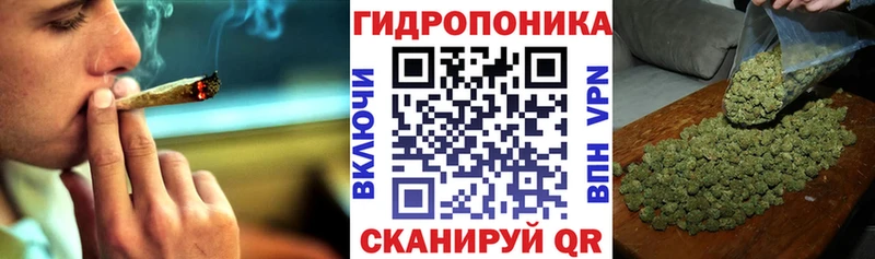 Купить  Шиханы  Бошки марихуана сатива 